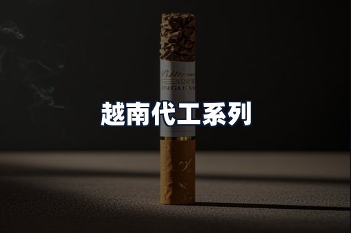 越南代工系列